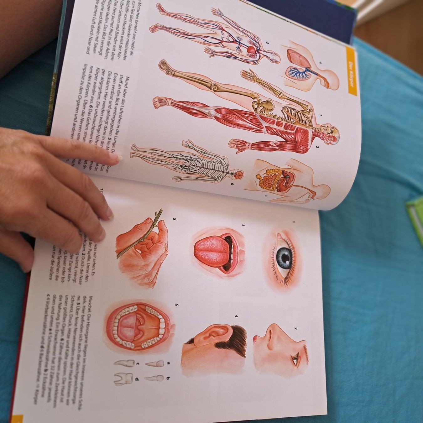 Libri: Das Grosse Herder Bilder Lexikon – Usato da Unterentfelden venduto da Miro-Lou 3