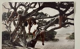 photographie érotique de Serge Nazarieff, arbre à femmes nue