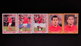 Panini South Africa 2010 (Swiss Edition) - Lot Suisse