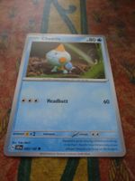 POKEMON  Chewtle    H SCR EN  043/142  HP80  2024