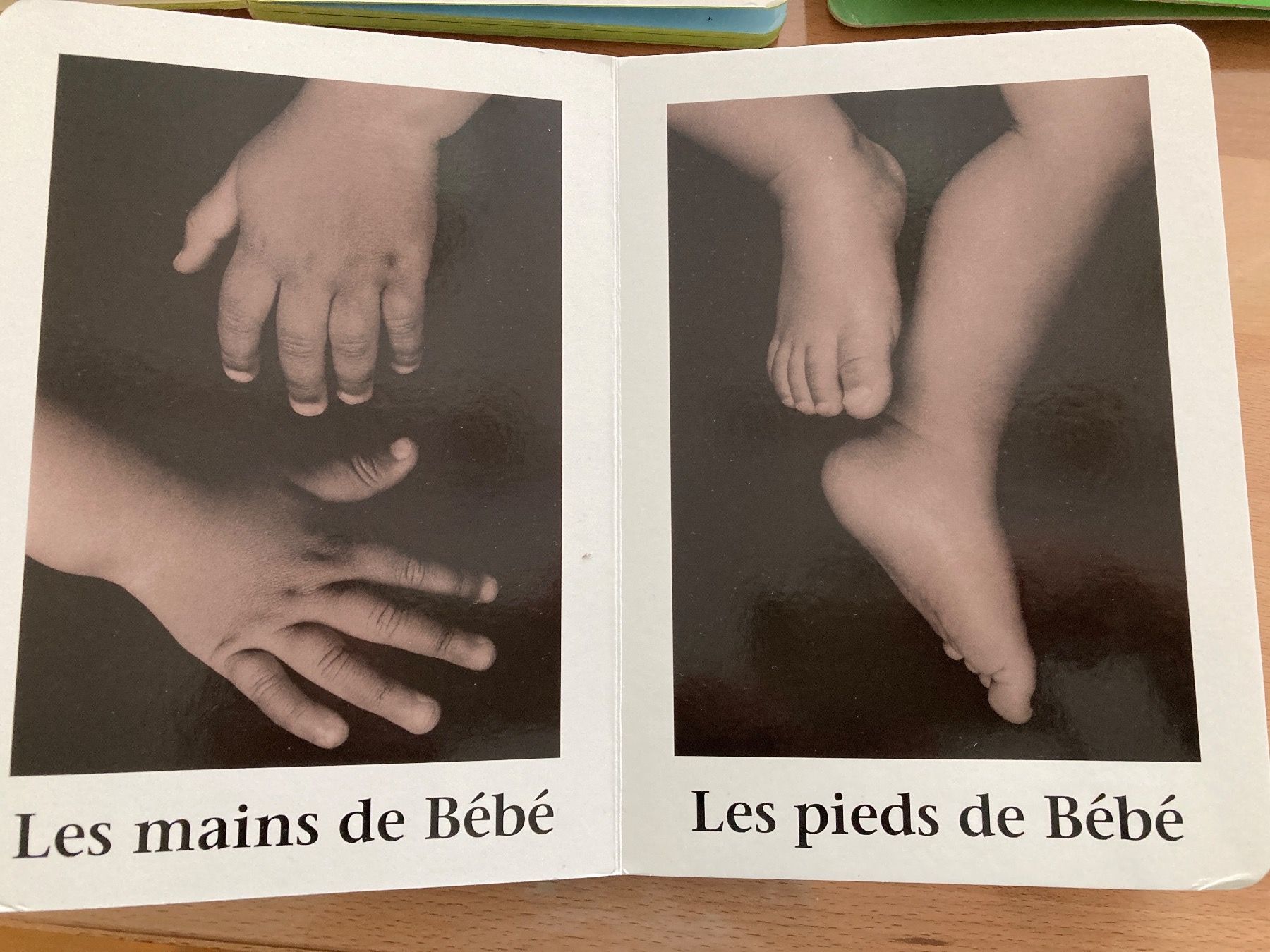 Libri: Livre: 3 Livres bebe – Usato da Stäfa venduto da nale068 2