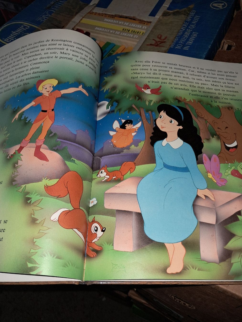 Libri: magie des contes peter pan – Usato da Le locle venduto da juliensaran 2