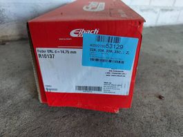 Feder R10137