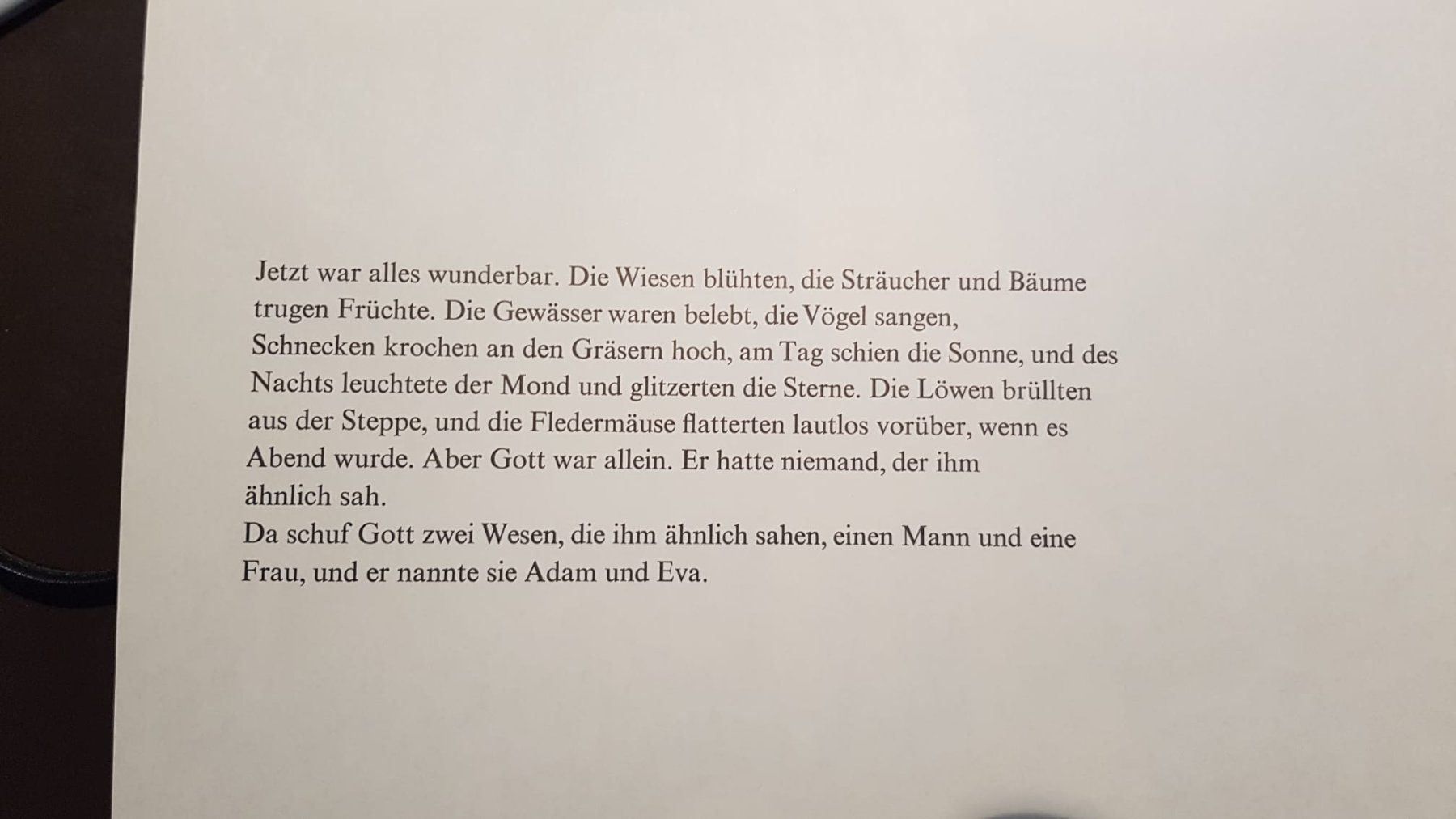 Libri: Die Geschichte vom Paradies -  Häny – Nuovo (secondo la descrizione) da Spiegel b. Bern venduto da Gudi8 6