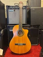 Gitarre Walden Natura N550CE
