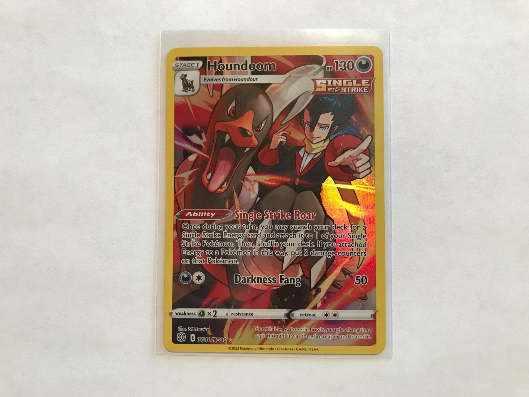 Pokémon Carte collezionabili: Houndoom Fullart Brilliant Stars EN – Nuovo (secondo la descrizione) da Hagendorn venduto da Pokecollectorch