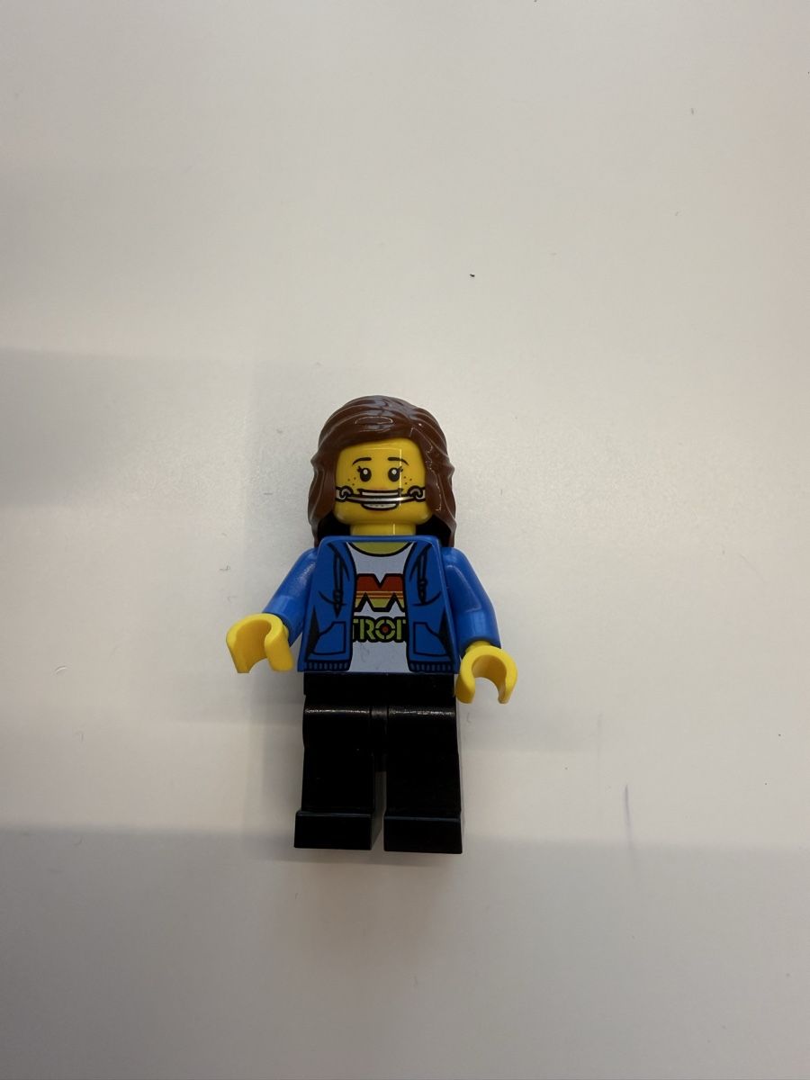 Lego Kit di costruzioni: Lego Ninjago Nancy njo0415 selten – Usato da Buchs SG venduto da Rheintalseller