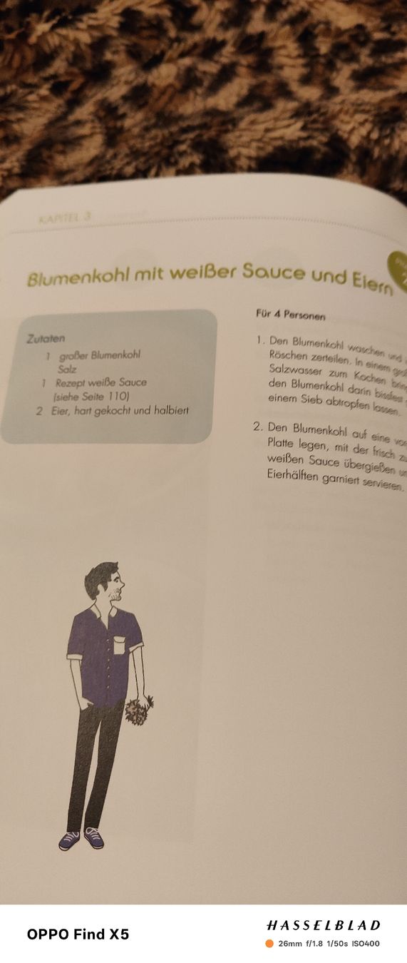 Libri: Die Dukan Diät – Usato da Volken venduto da katz5 7
