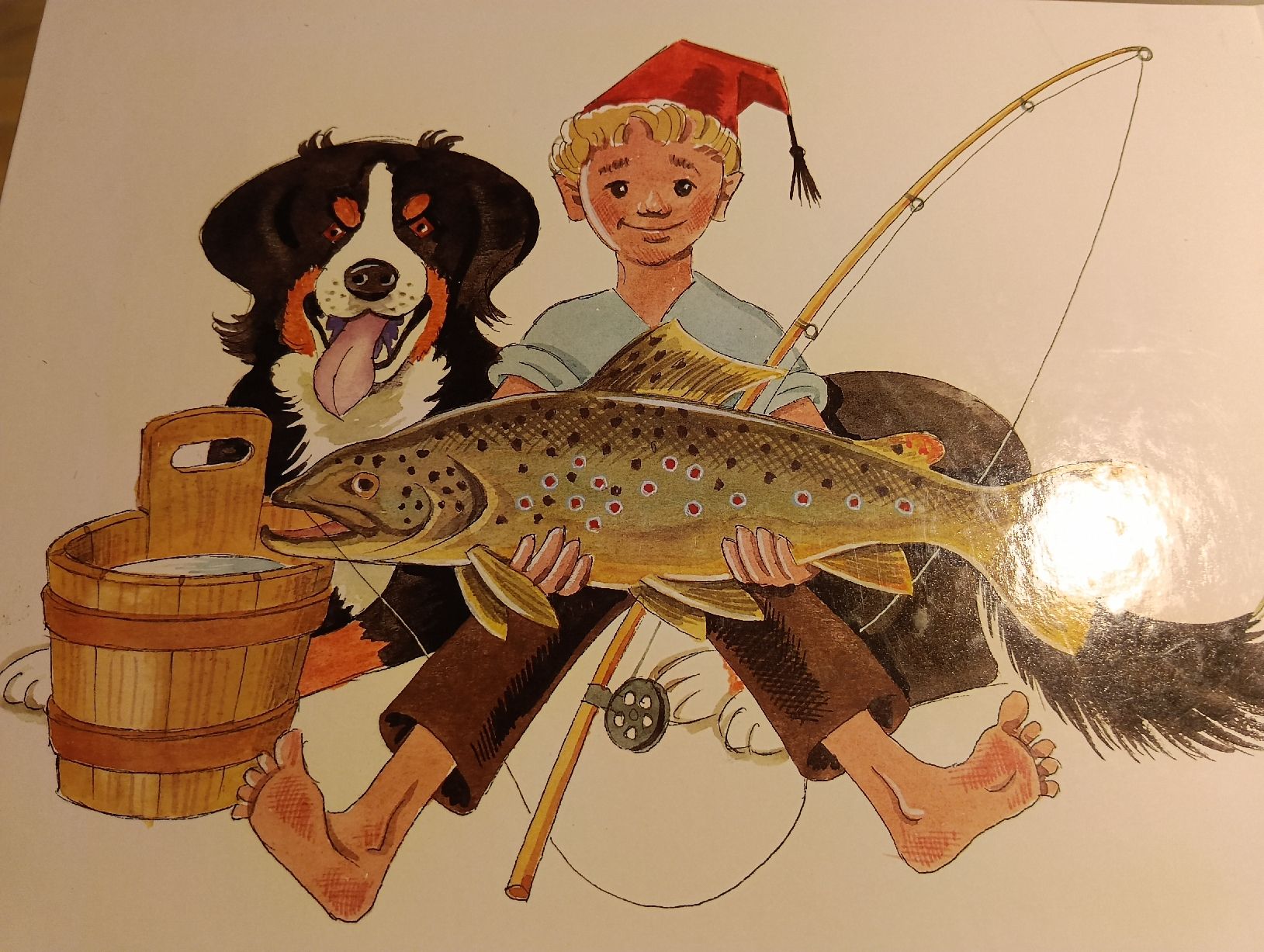 Libri: Der Bueb vom Trieb, Ei Buch vom Emmental neu – Nuovo (secondo la descrizione) da Wettingen venduto da zadina39 1