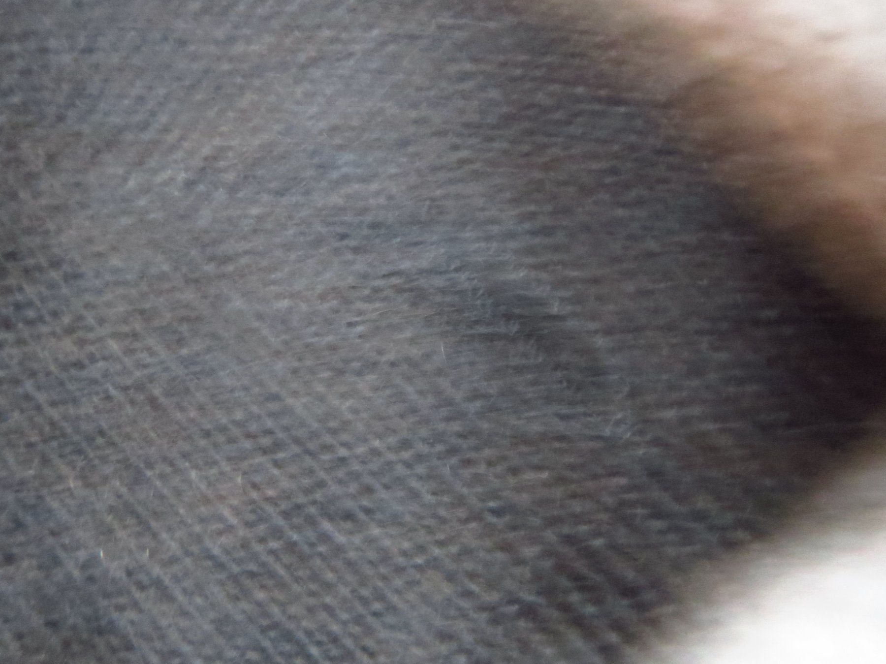 Maglioni & Felpe: total süsser Damen Pullover mit KASCHMIR – Usato da Kiental venduto da Anna8702 8