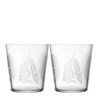 4 x Iittala Taika: Becher klar, 38cl