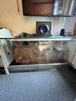 Terrarium Glas 150x50x80cm mit Rückwand und Beleuchtung