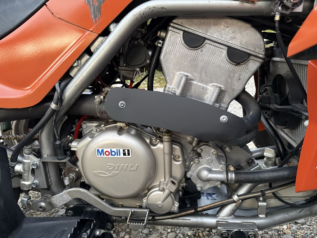 Dinli Quads: Dinli DL DMX 450 – D'occasion à Bischofszell par Ehelena 6
