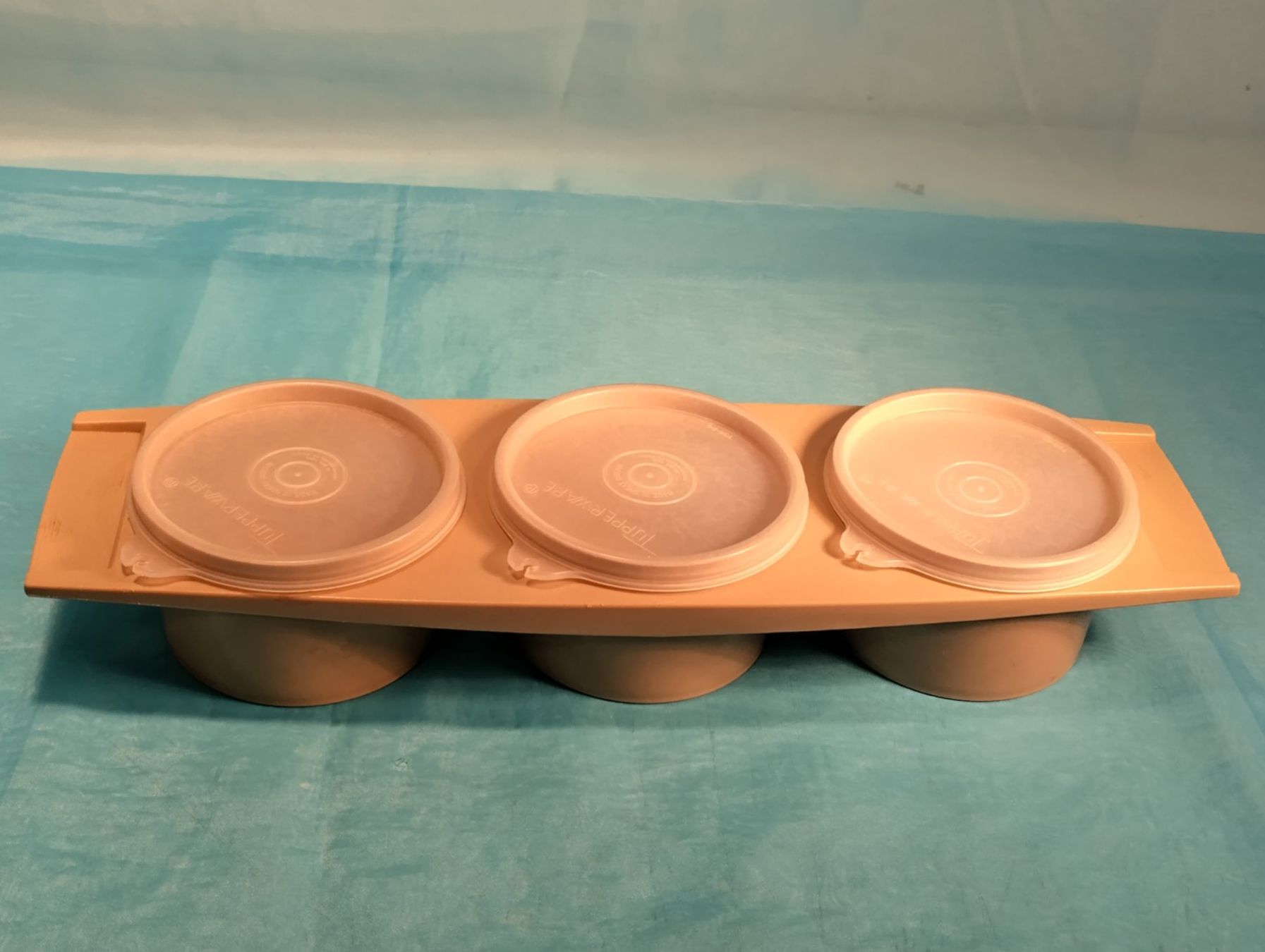 Tupperware Contenitori & Simili: Tupperware Behälter 3er Set beige – Usato da Bellach venduto da JingleCherry