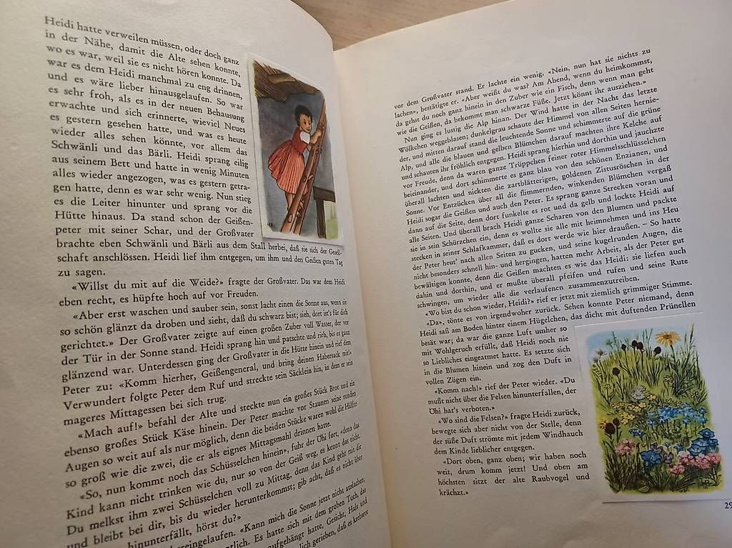 Libri: HEIDI Original – Usato da Bern venduto da mit_w2v8 4