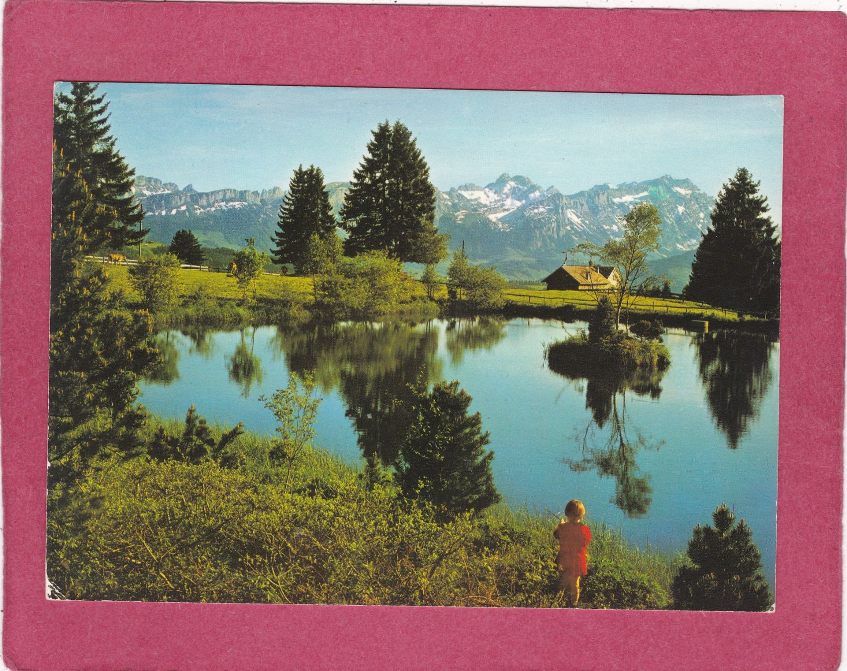 Cartoline postali: Auf dem Gäbris 1983 – Usato da Herisau venduto da Lisegrat2008