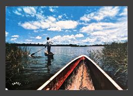 Carte postale Bénin le pêcheur timbre écrit état usage