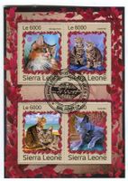 Block "Katzen". Sierra Leone.