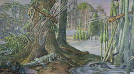 Schulwandbild, Wandbild, Lehrbild "Jungpaläolithikum"