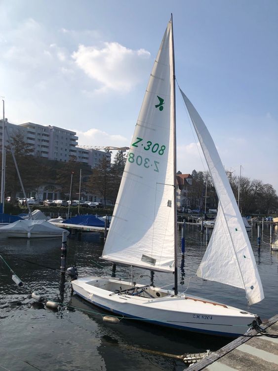 segelboot zugvogel kaufen