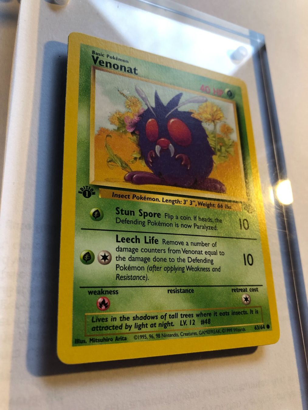 Carte collezionabili: Venonat 1st Jungle - MINT - ab 1.- – Usato da Giubiasco venduto da dan_pr8b 1