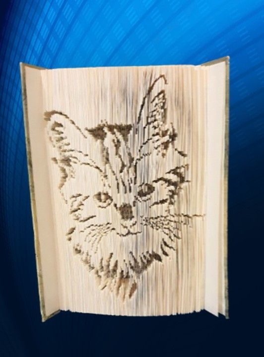 Libri: Buchkunst Hund, Katze, Pferd, Delfin, Geschenk – Nuovo e nell'imballaggio originale da Hausen AG venduto da Lothar64 1