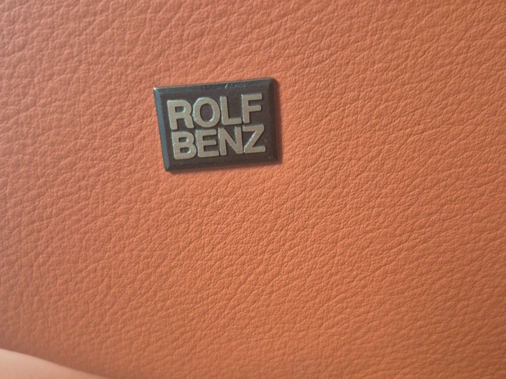 Rolf Benz Poltrone: Rolf Benz Leder-Sessel – Usato da Zürich venduto da Seljoanne 2