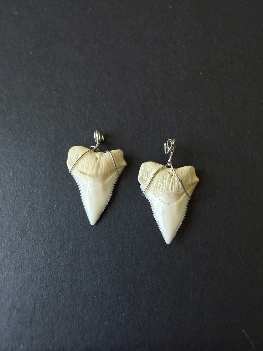 Ciondoli: Pendentifs dents de requins – Nuovo (secondo la descrizione) da Le Noirmont venduto da Fanny_