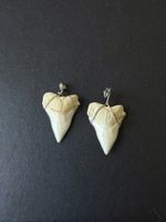 Pendentifs dents de requins