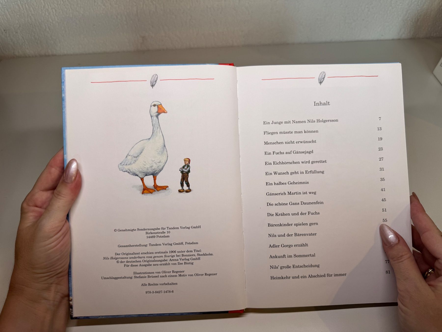 Libri: BUCH: Selma Lagerlöf, Nils Holgerssons wunderbare Reise – Usato da Grosswangen venduto da Kleine.Knoepfe 4