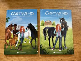 Ostwind Bücher: Das geheimnisvolle Brandzeichen, Für immer F