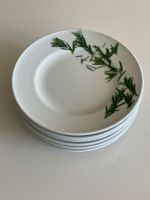 6 Teller Dibbern Herbaticum 19 cm