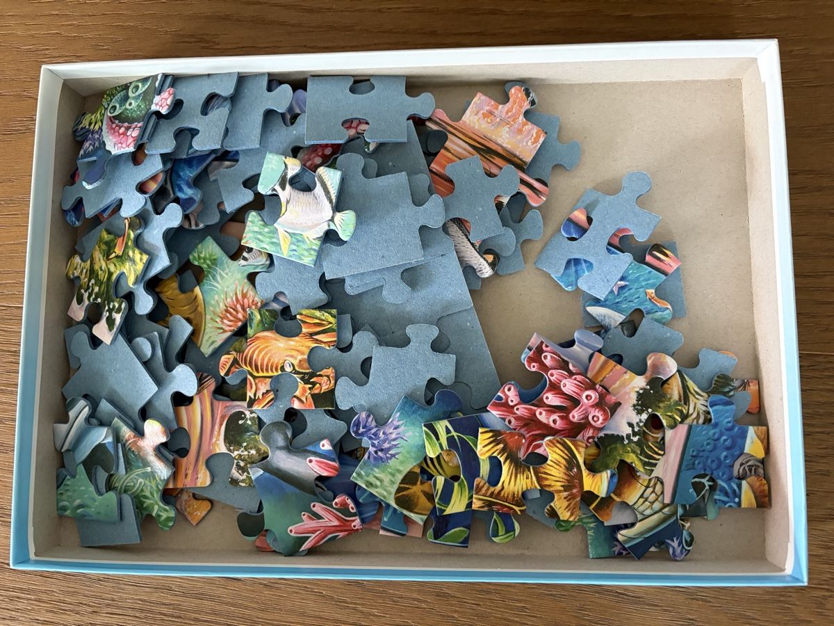 Ravensburger Puzzle: Puzzle Ravensburger 100 Teile – Usato da Sarmenstorf venduto da LioWe 1