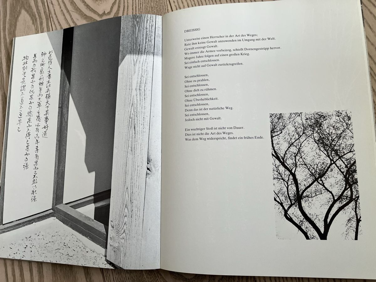 Bücher: Lao Tse - Tao Te King – Gebraucht aus Romanshorn von Apfelschuss 2