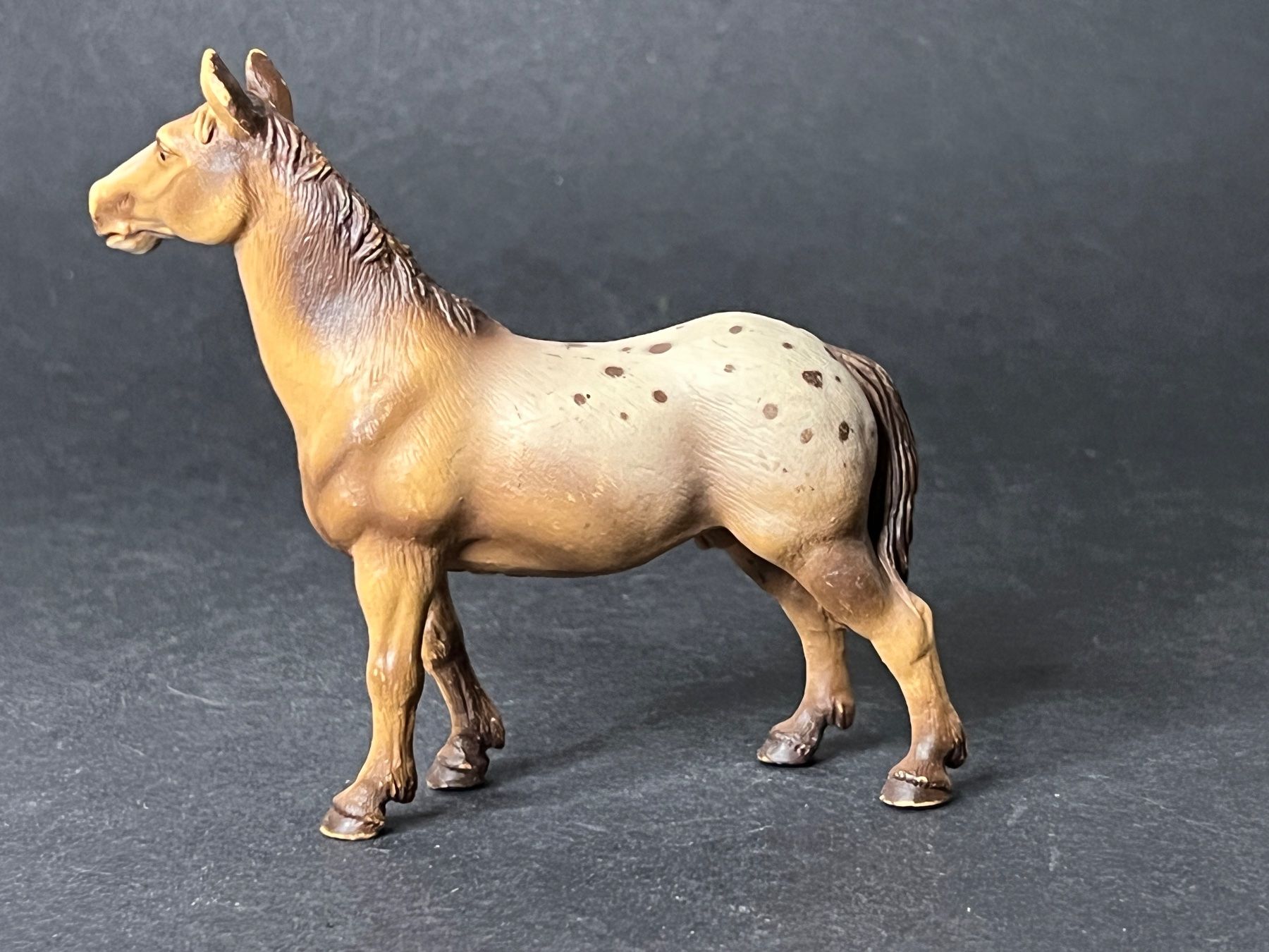 Schleich Statuette: Schleich Appaloosa Hengst Pferd – Usato da Ennetbaden venduto da mapa05 7