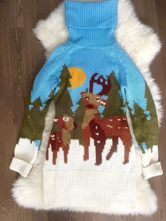 Winterkleid / Pullover