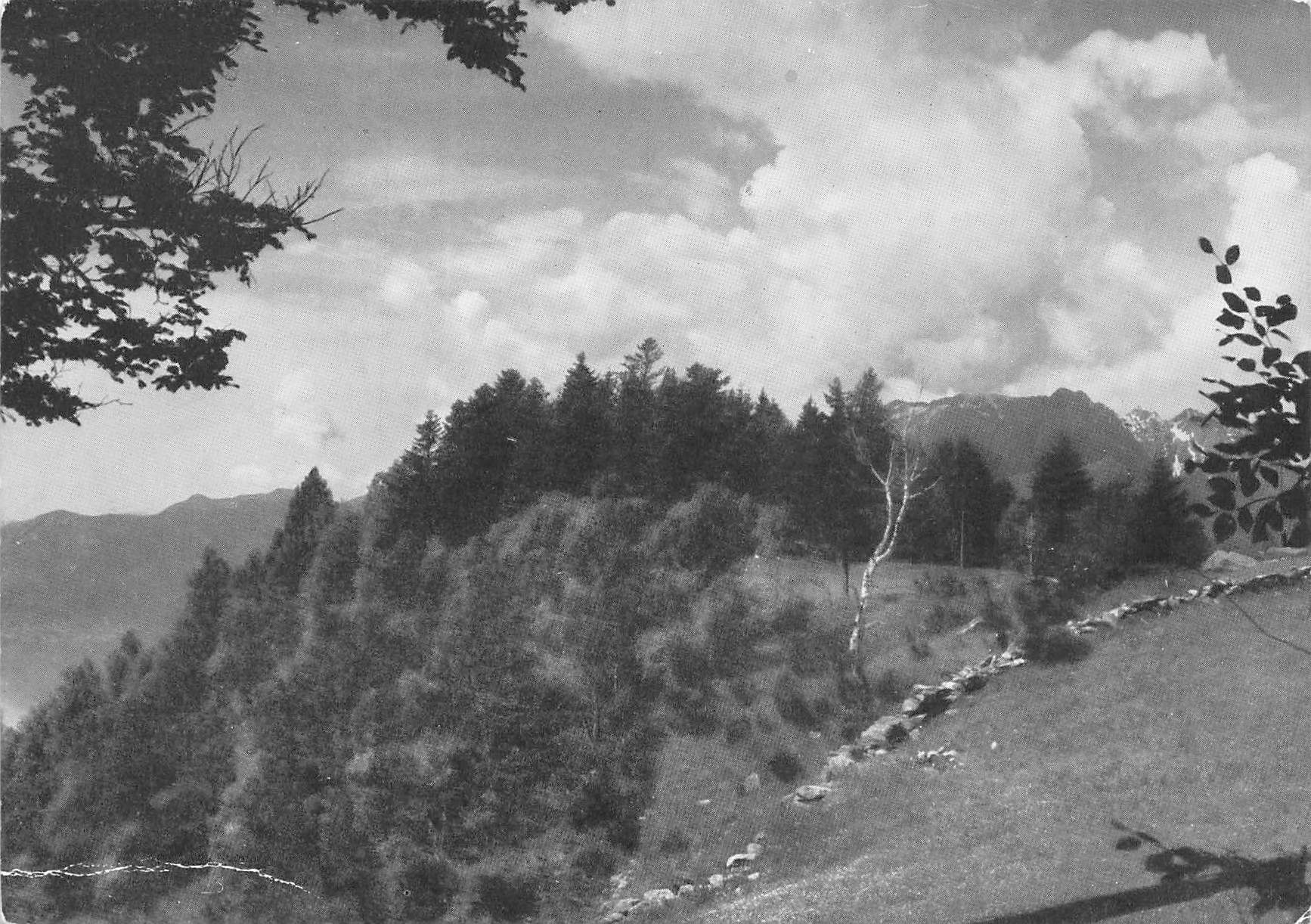 Ansichtskarten: Sull`alpe – Gebraucht aus Biasca von Blenio71