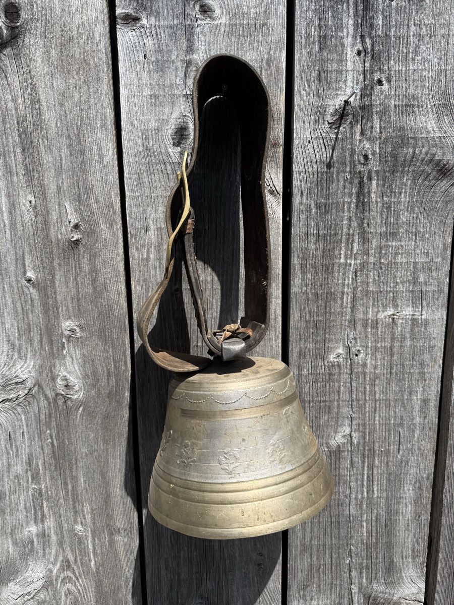 Campanacci mucche: Grosse Glocke mit breitem Riemen – Usato da Sargans venduto da foxtrading 2