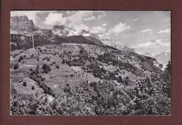 BRAUNWALD