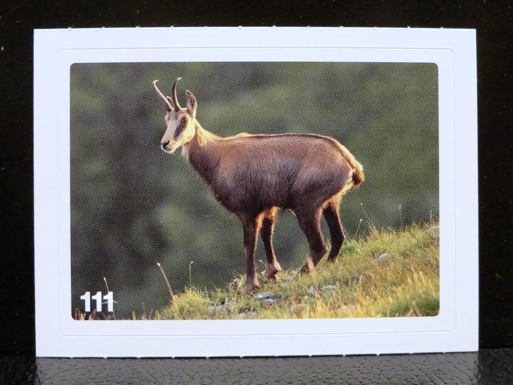 Migros Sammelbilder & Trading cards: MIGROS MANIA Nature Detectives Nr. 111 – Neu und originalverpackt aus Kerzers von zimmergruen