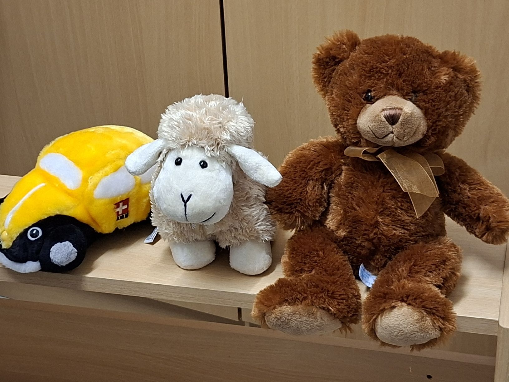 Giocattoli: Kuscheltiere Set: Teddy, Schäfchen & Käfer  – Usato da Wetzikon ZH venduto da Wetzithal