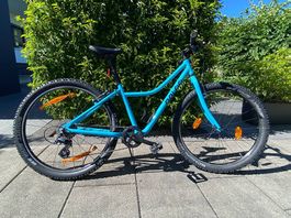 Naloo Chameleon 26" türkis