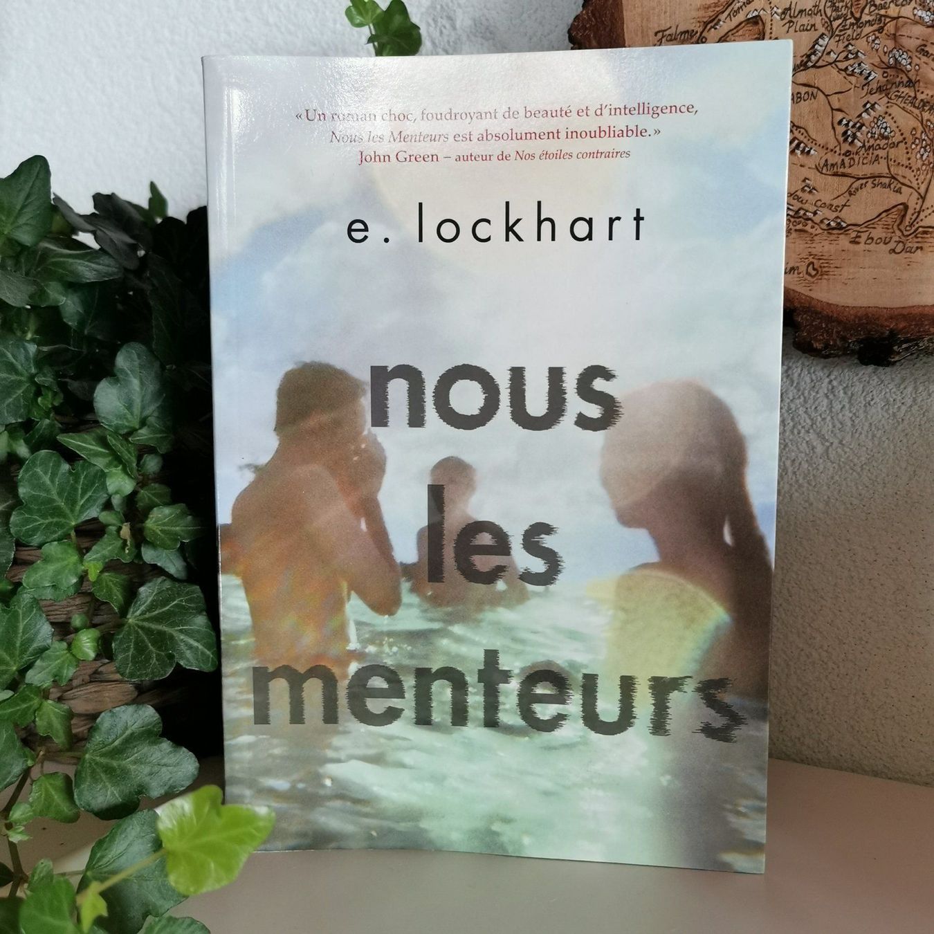 Libri: Nous les Menteurs - E. Lockhart – Usato da Veytaux venduto da lelivreouvert