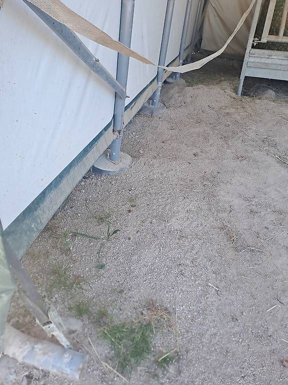 Tende & Padiglioni: Pavillon 6x7x4 metres – Usato da Charmoille venduto da vin_lf9s 2