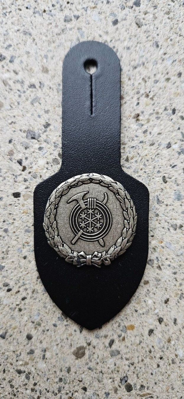 Schweizer Armee Uniformi: *** Brustanhänger Gebirgsspezialist *** – Usato da Riedholz venduto da fr_sIruP