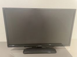 Reflexion 31.5" HD TV + DVD (12V für Camping)