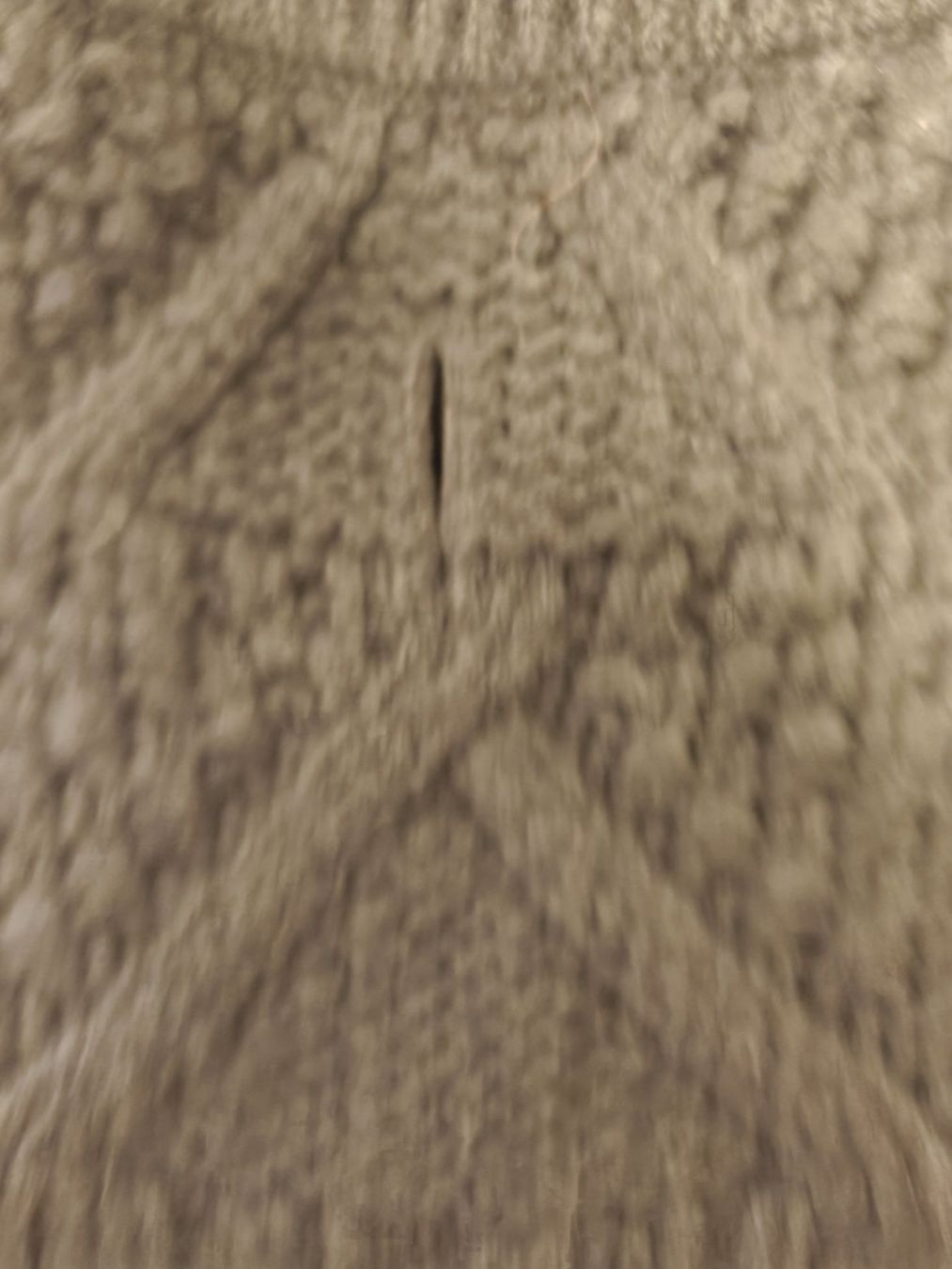 Hunter Abbigliamento: Hunde-Pulli von Hunter, Antracit 35 cm – Usato da Wädenswil venduto da alex-maxima 1