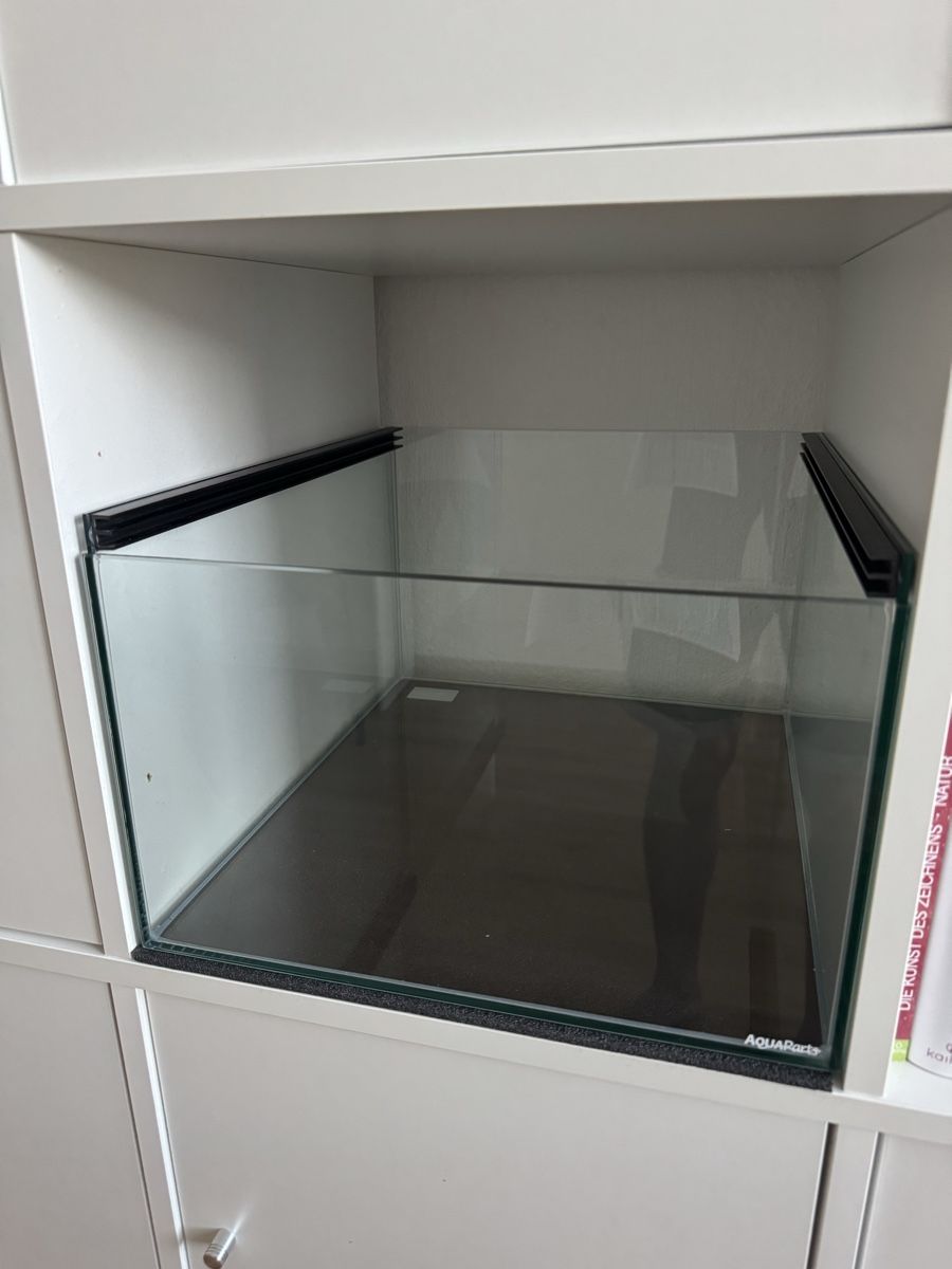 Aquarium: Kallax-Aquarium neu – Neuf (Voir description) à Bern par tinnel