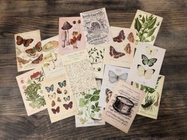 15 Stk Postkarten Karten Botanik Pflanzen Vintage Look