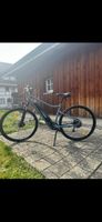 Elektro Velo